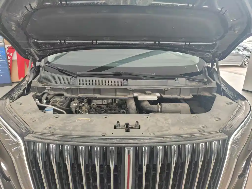Hongqi Hongqi HQ9 — миниатюра 13