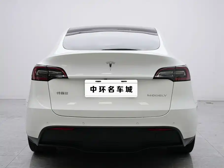 Tesla Model Y — миниатюра 14