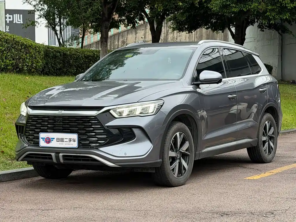 BYD Pro New Energy