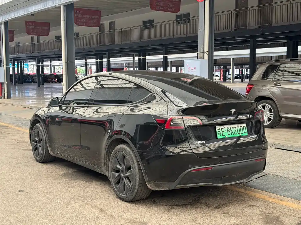 Tesla Model Y — миниатюра 9