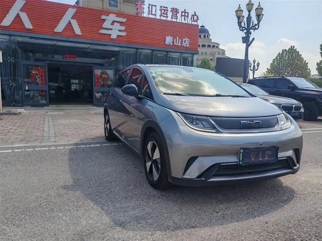 BYD Dolphin — миниатюра 3