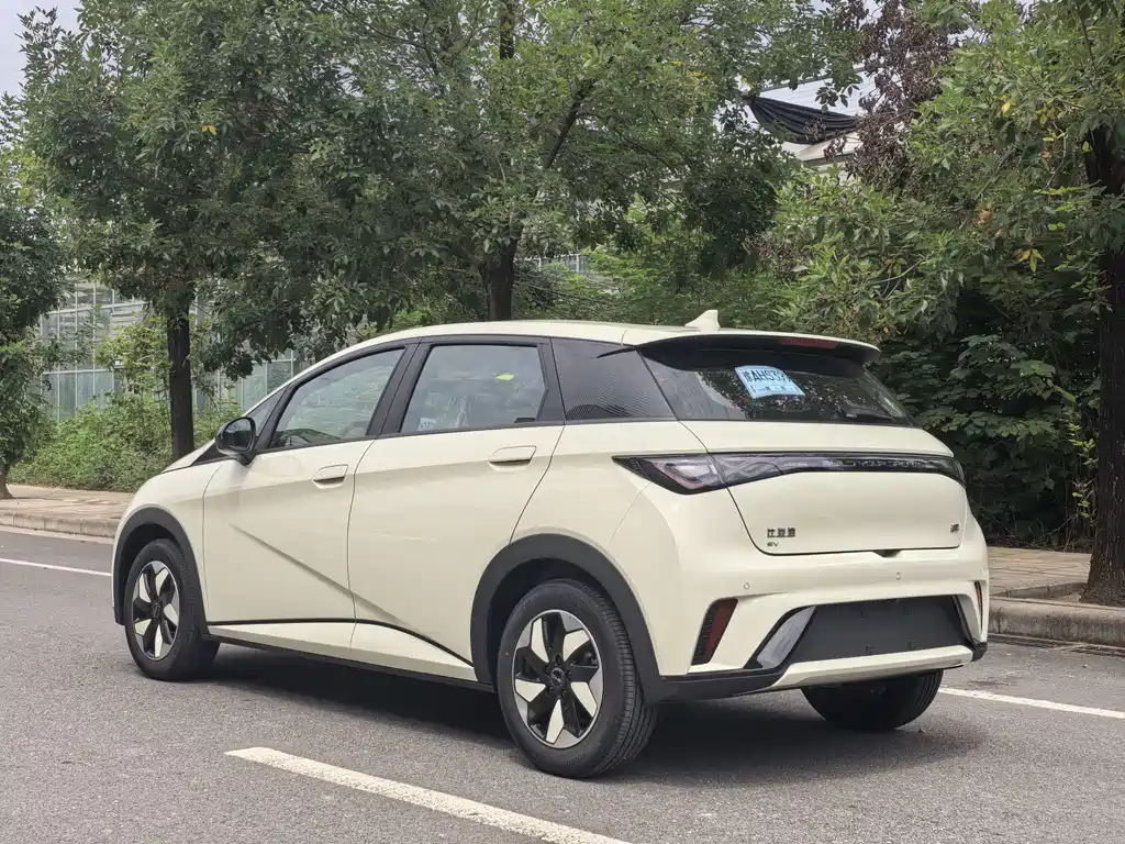BYD Dolphin — миниатюра 4