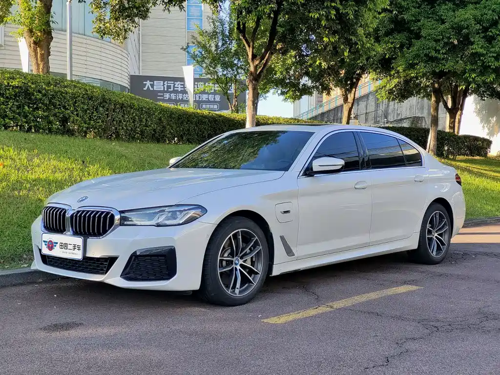BMW 5 Series New Energy