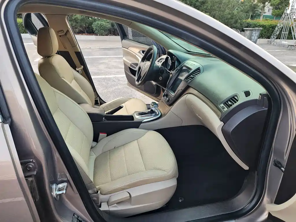 Buick Regal — миниатюра 14