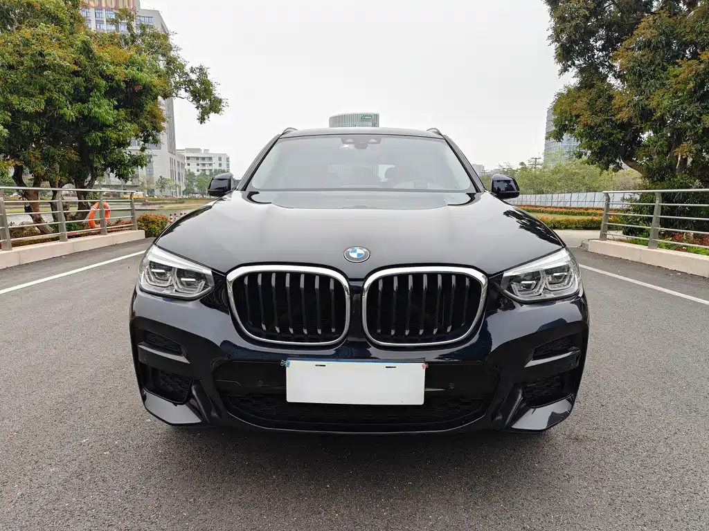 BMW X3 — миниатюра 2