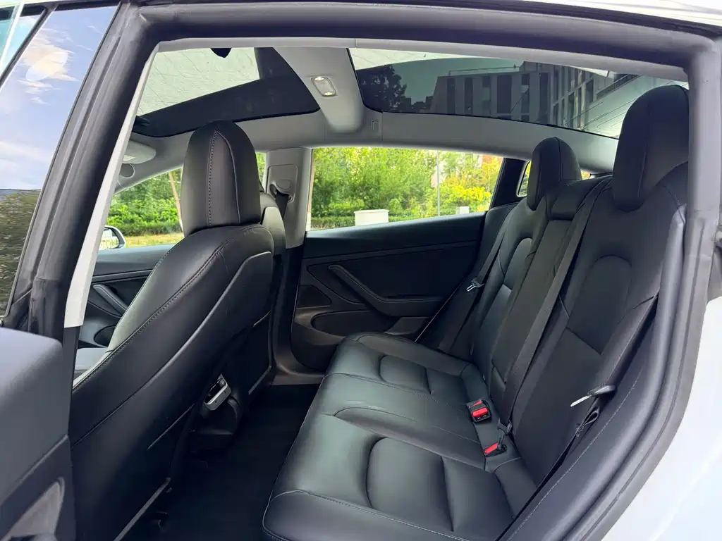 Tesla Model 3 — миниатюра 11