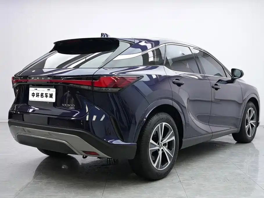 Lexus RX — миниатюра 17