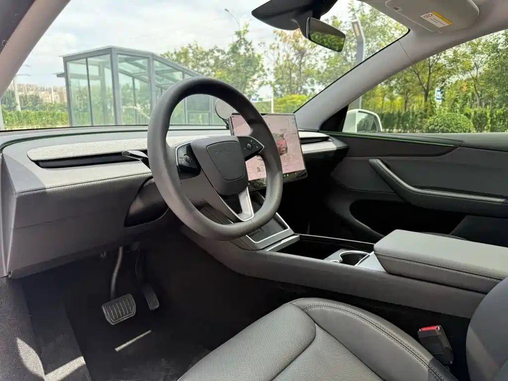 Tesla Model Y — миниатюра 7