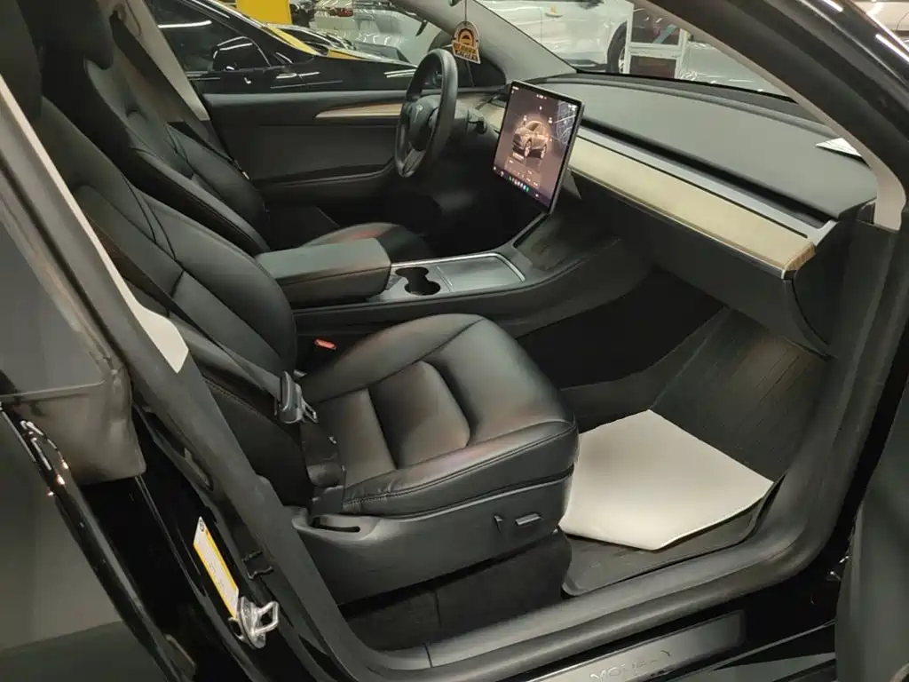 Tesla Model Y — миниатюра 25