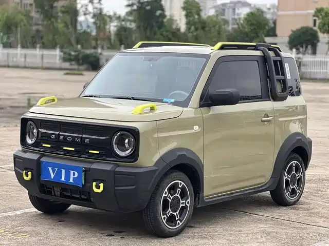 2024 Geely LC (Panda)