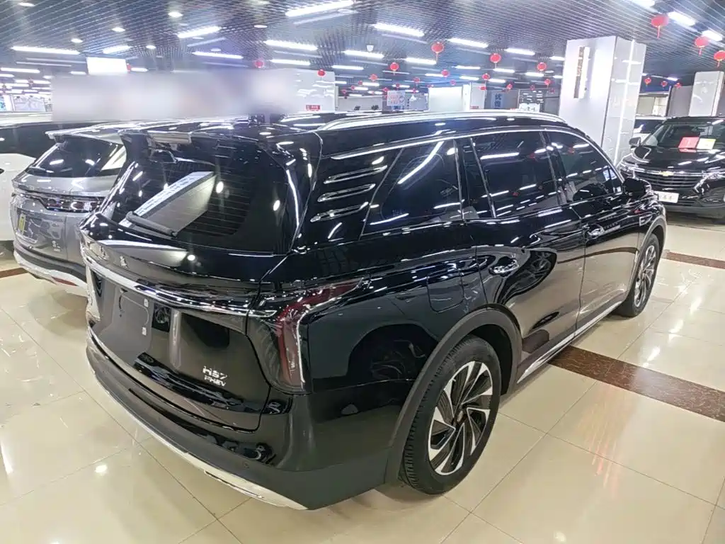 Hongqi Hongqi HS7 PHEV — миниатюра 7