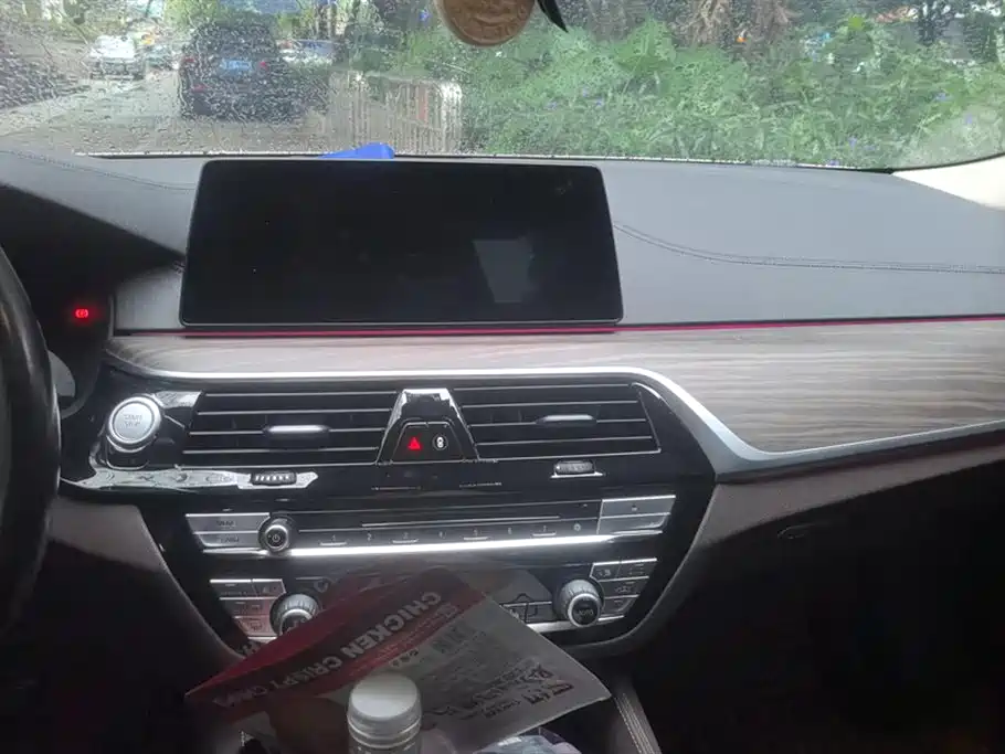 BMW 5 SERIES NEW ENERGY