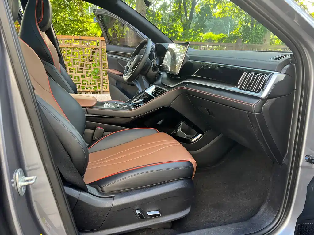 BYD PLUS — миниатюра 10