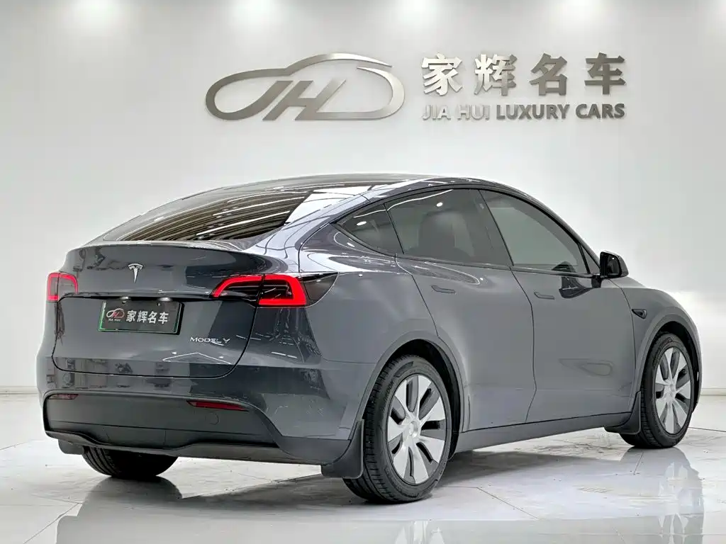 Tesla Model Y — миниатюра 7