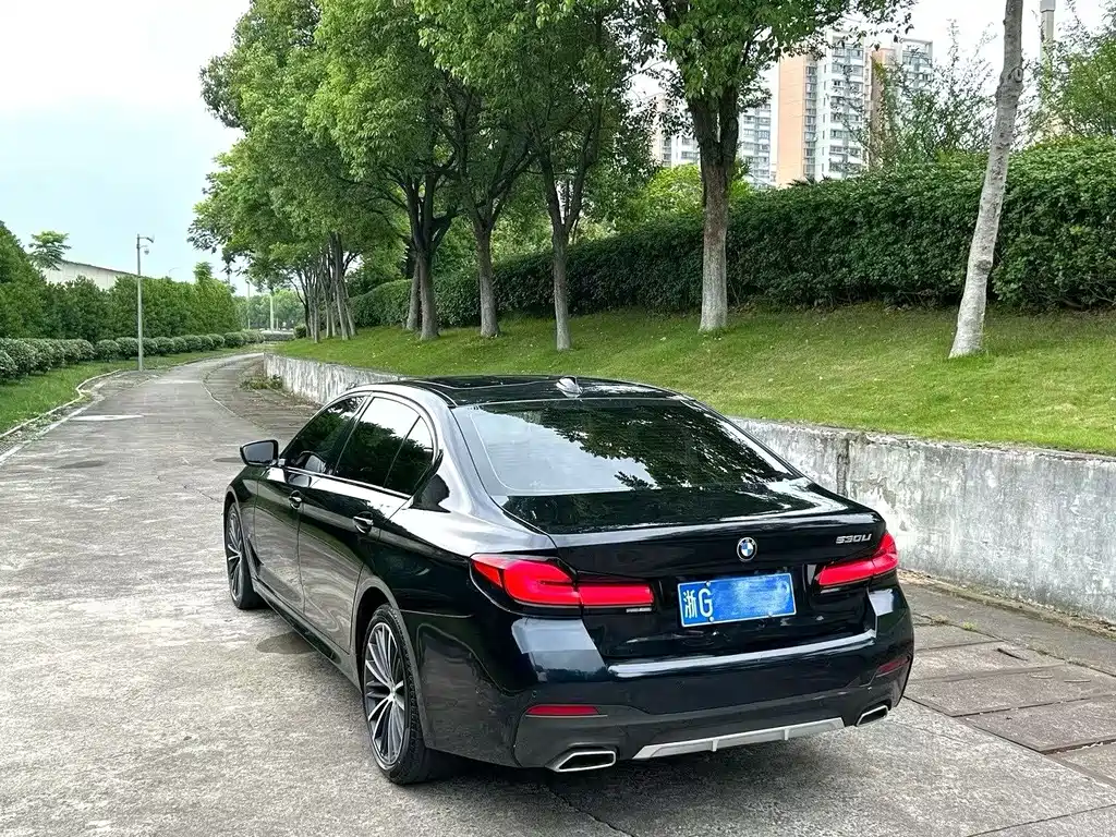 BMW 5 Series 5 2021 530Li Lead Luxury