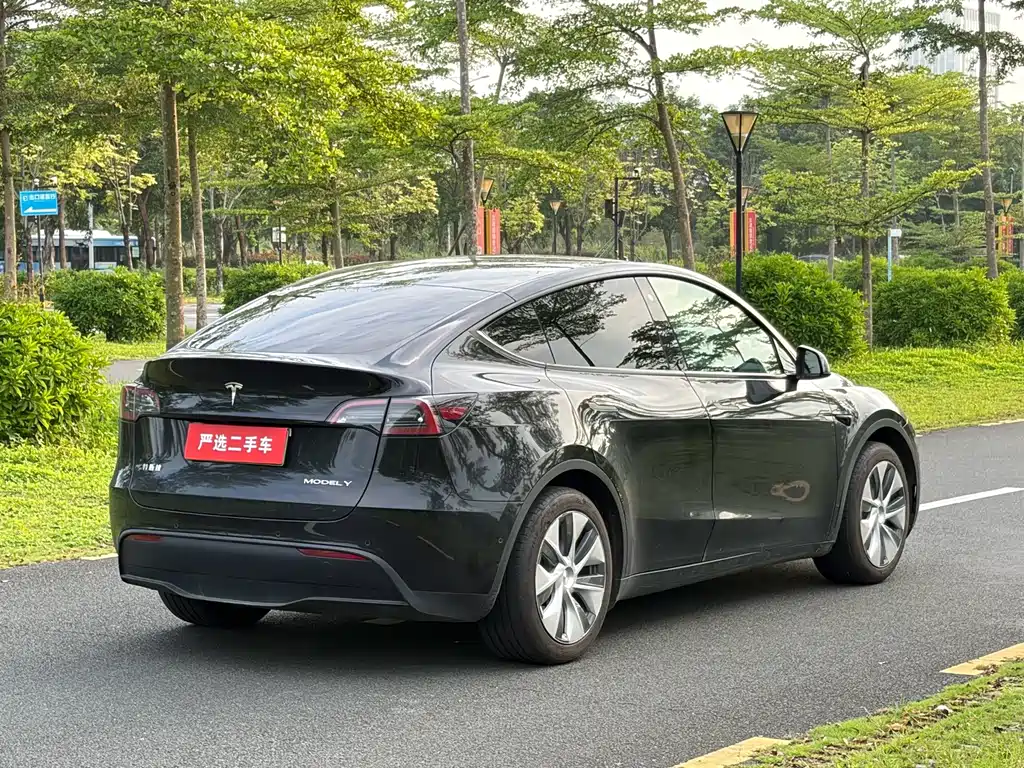 Tesla Model Y — миниатюра 9