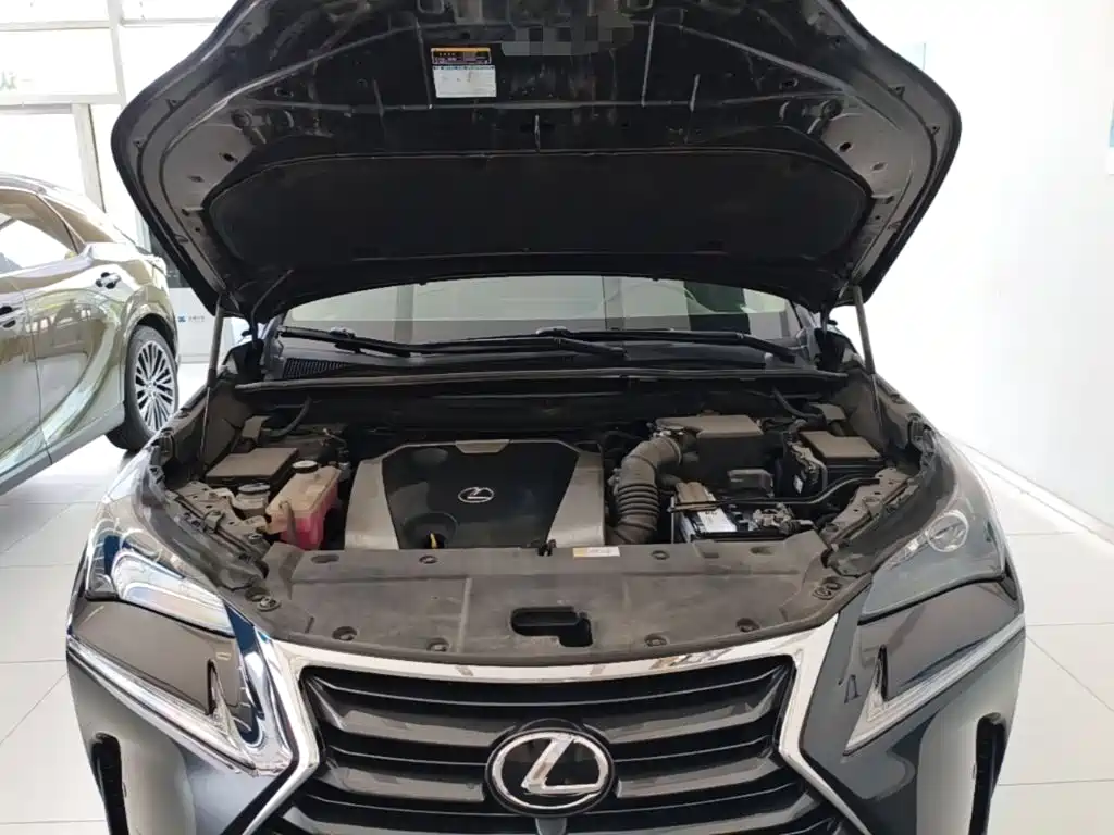 Lexus NX — миниатюра 25