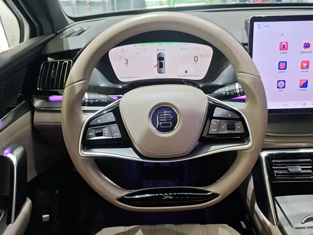 BYD Tang New Energy — миниатюра 12