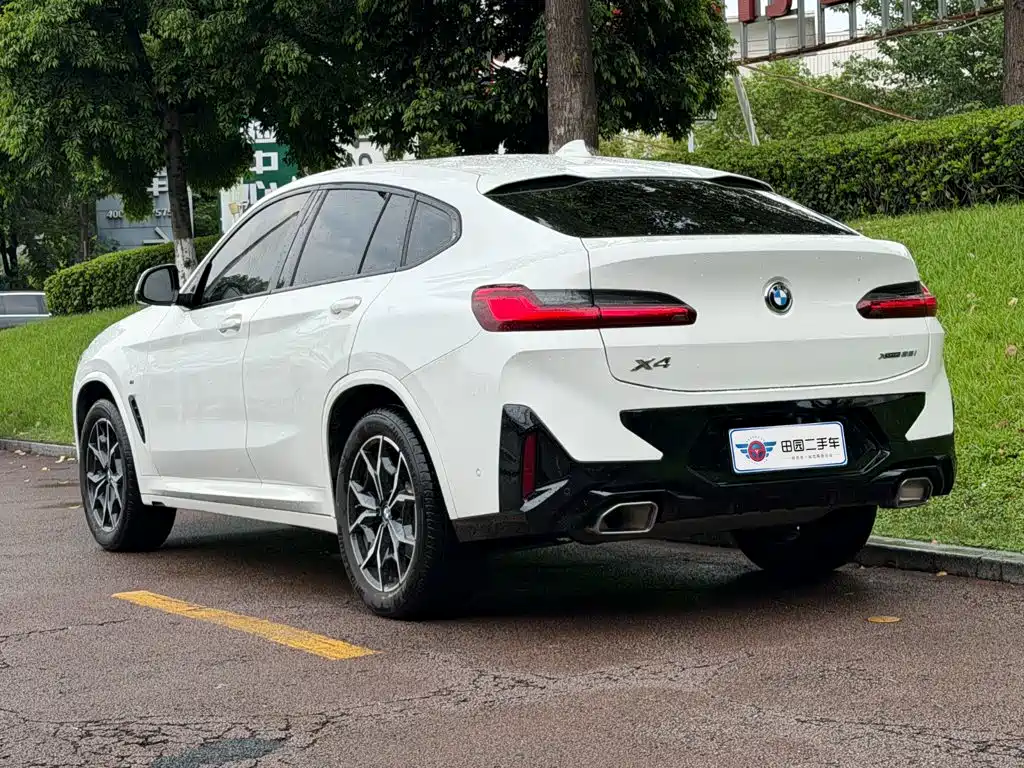 BMW X4 — миниатюра 4