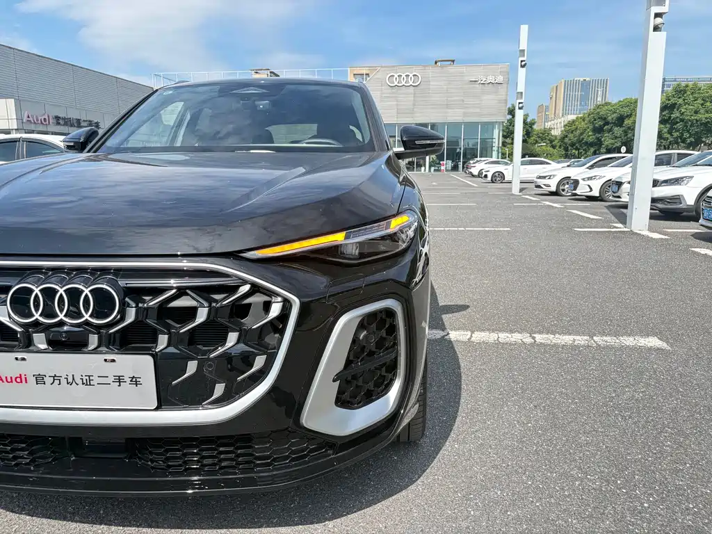 Audi Q5L — миниатюра 15