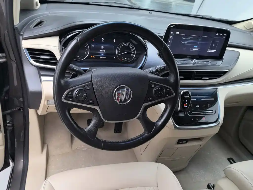 Buick GL8 — миниатюра 11