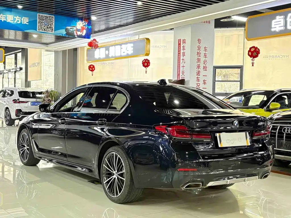 BMW 5 SERIES
