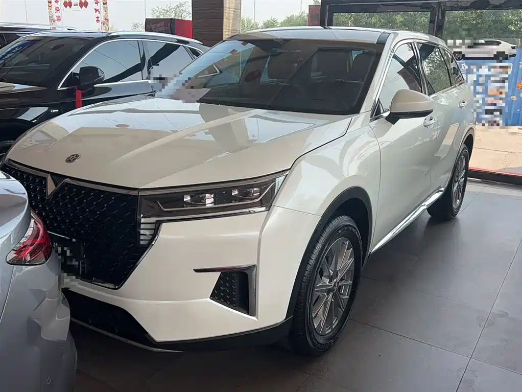 Venucia Star 2020