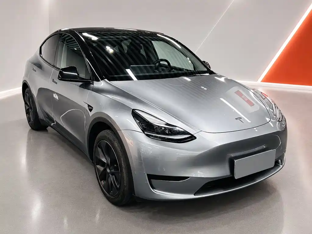 Tesla Model Y — миниатюра 3
