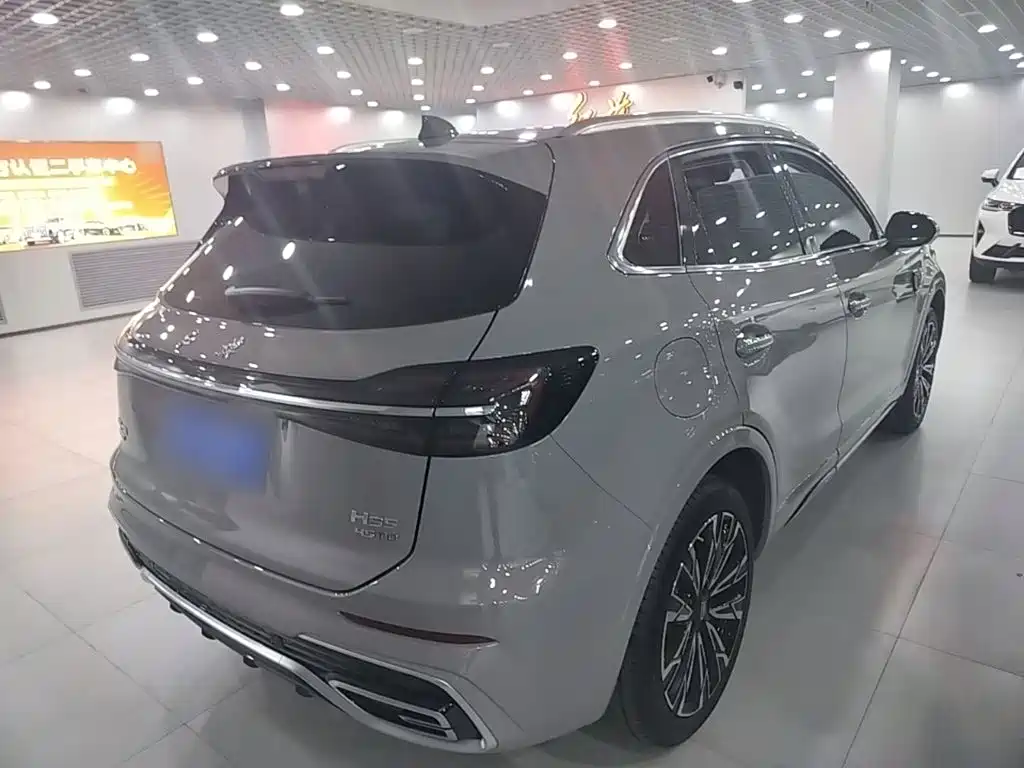 Hongqi Hongqi HS5 — миниатюра 7