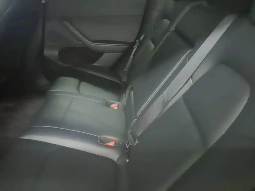 Tesla Model Y — миниатюра 17