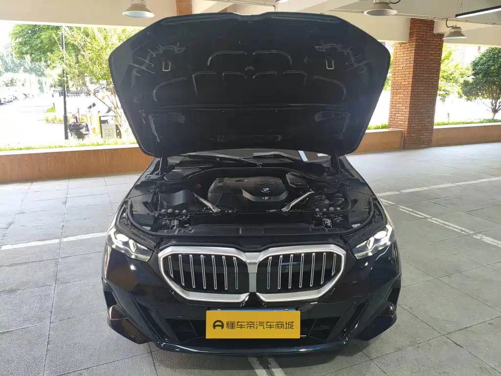 BMW 5 Series — миниатюра 19