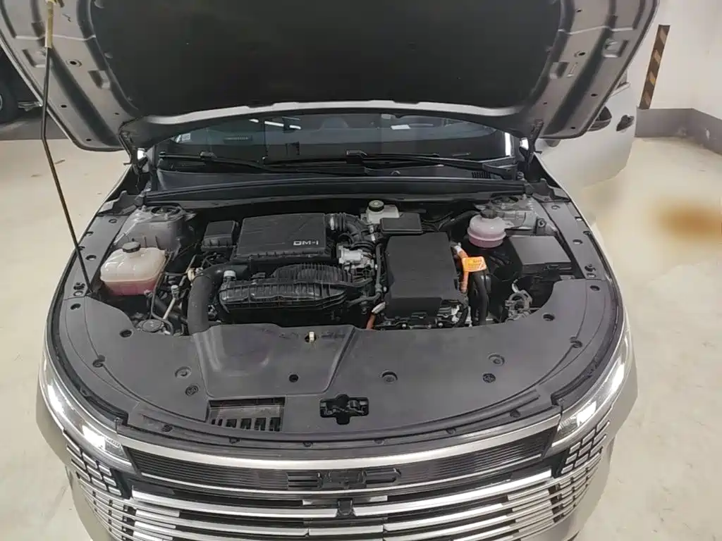 BYD Destroyer 05 — миниатюра 20