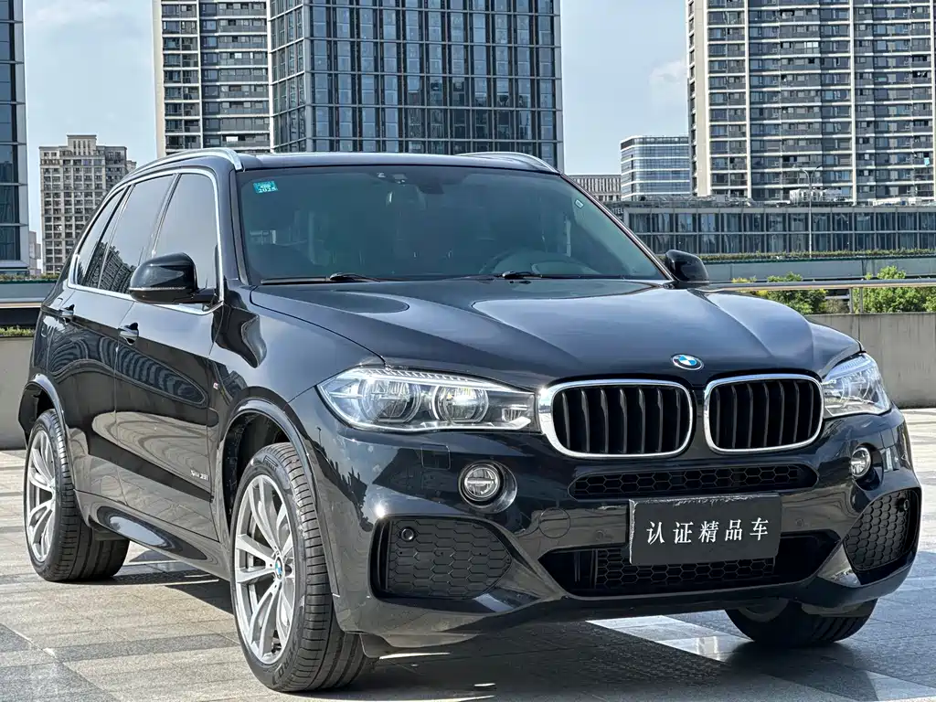 BMW X5 (Import) — миниатюра 3