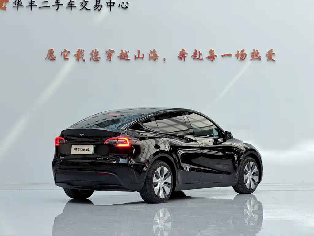 Tesla Model Y — миниатюра 5