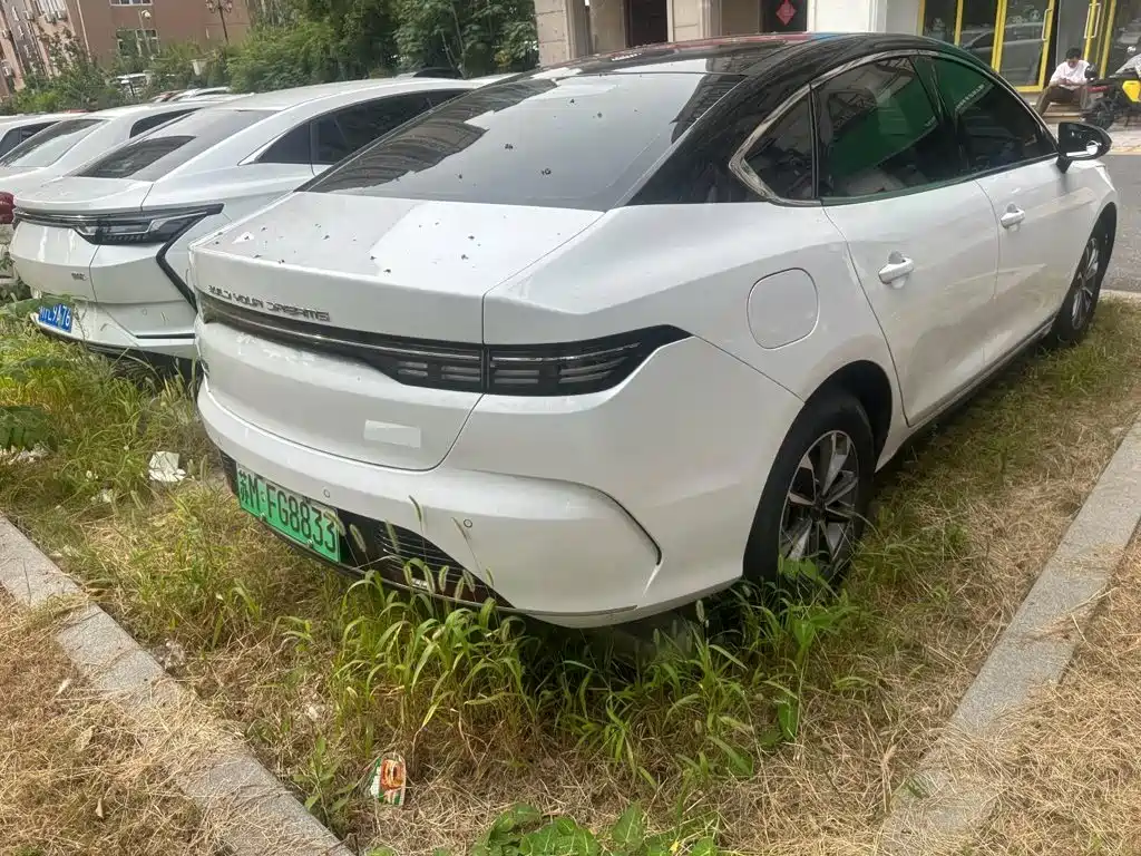 BYD Destroyer 05 — миниатюра 4