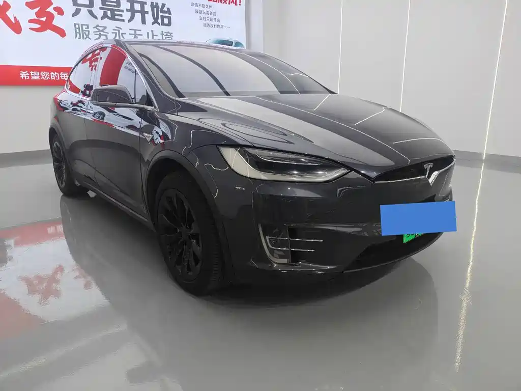 Tesla Model X — миниатюра 3