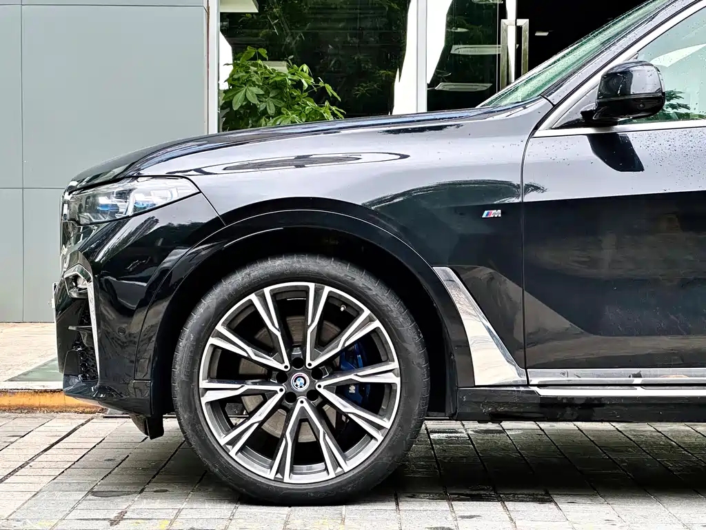 BMW X7 — миниатюра 8