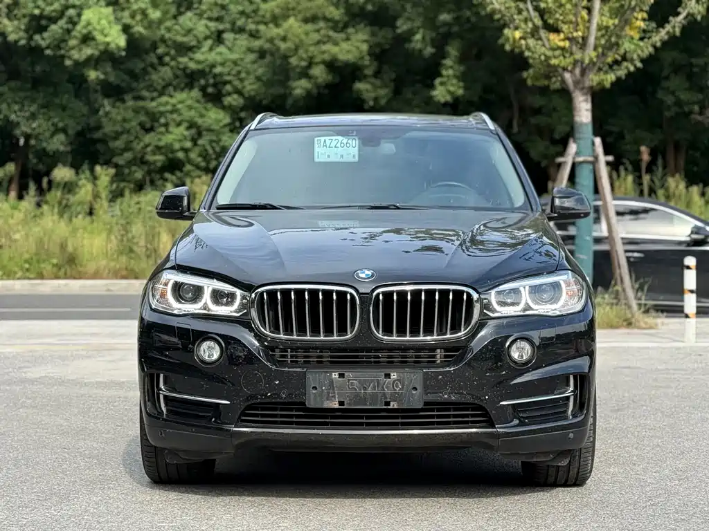 BMW X5 (Import) — миниатюра 2