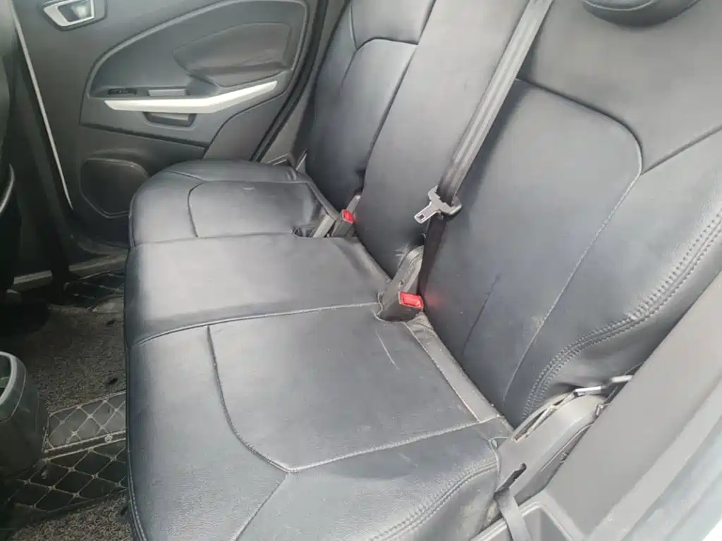 Ford Ecosport — миниатюра 17