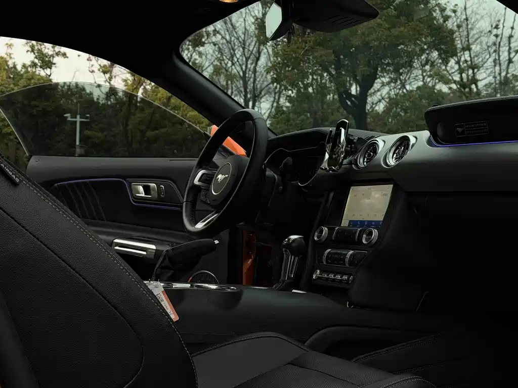 Ford Mustang — миниатюра 14