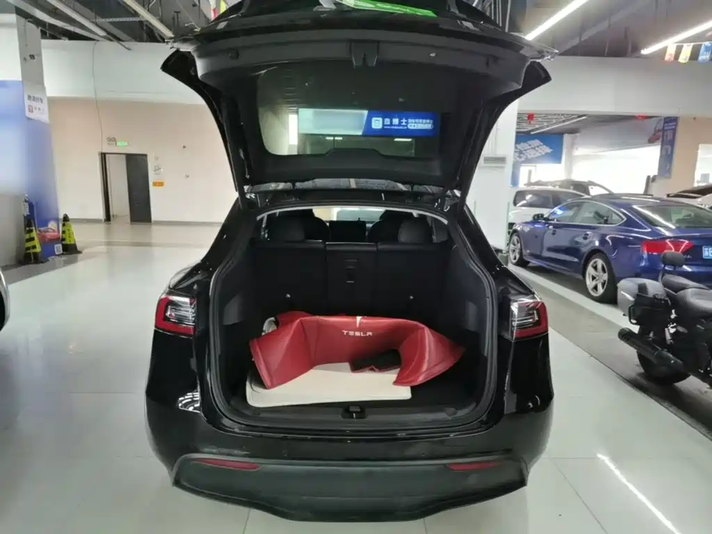 Tesla Model Y — миниатюра 19