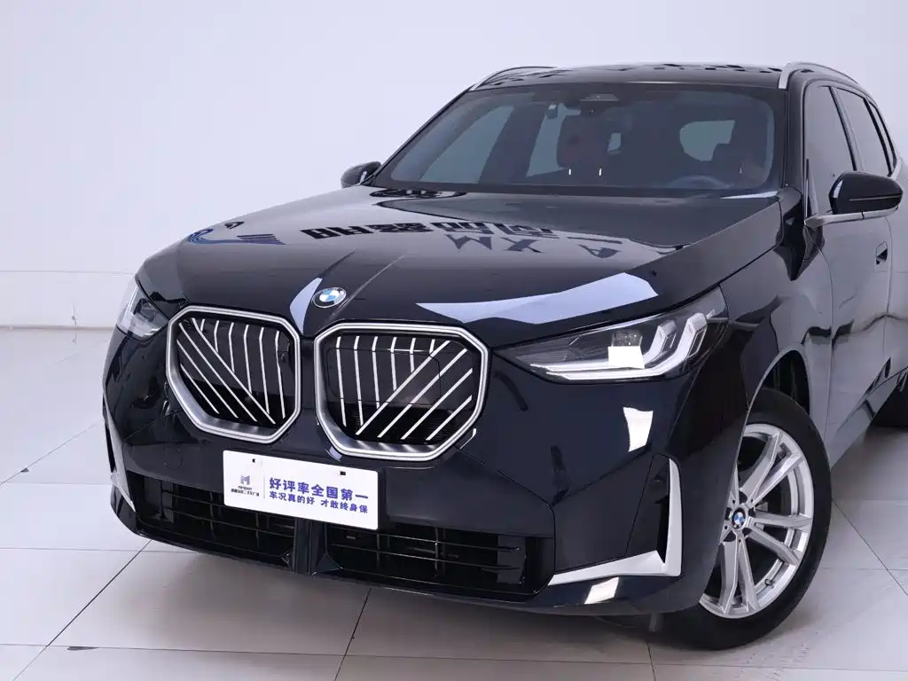 BMW X3 — миниатюра 3