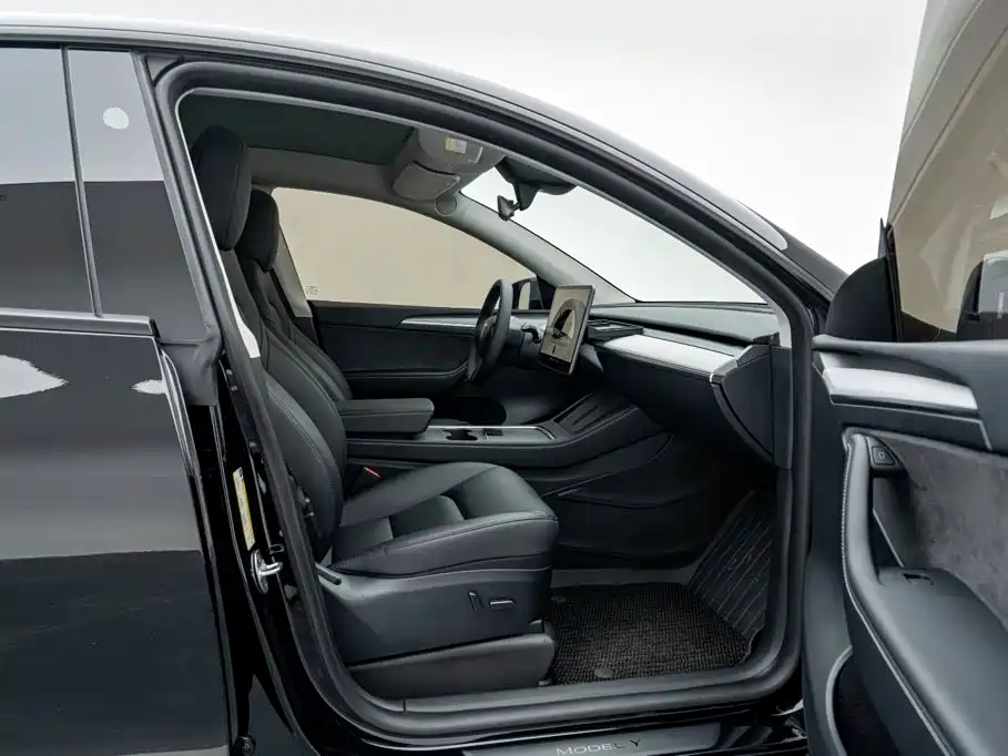 Tesla Model Y — миниатюра 18
