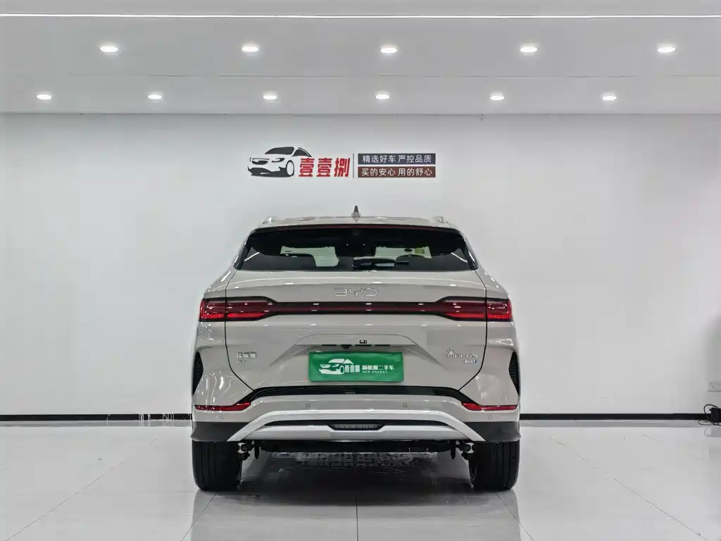 BYD SONGJIANG NEW ENERGY