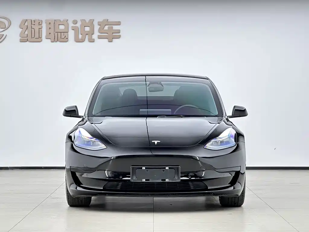 Tesla Model 3 — миниатюра 4