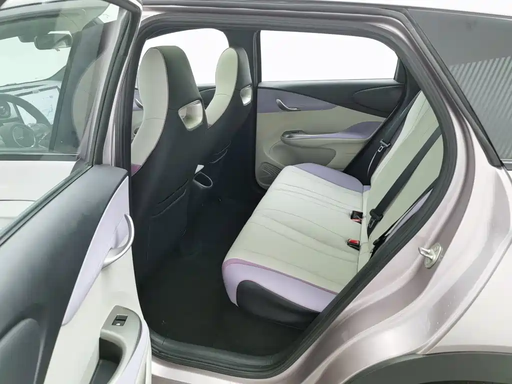 BYD Dolphin — миниатюра 15