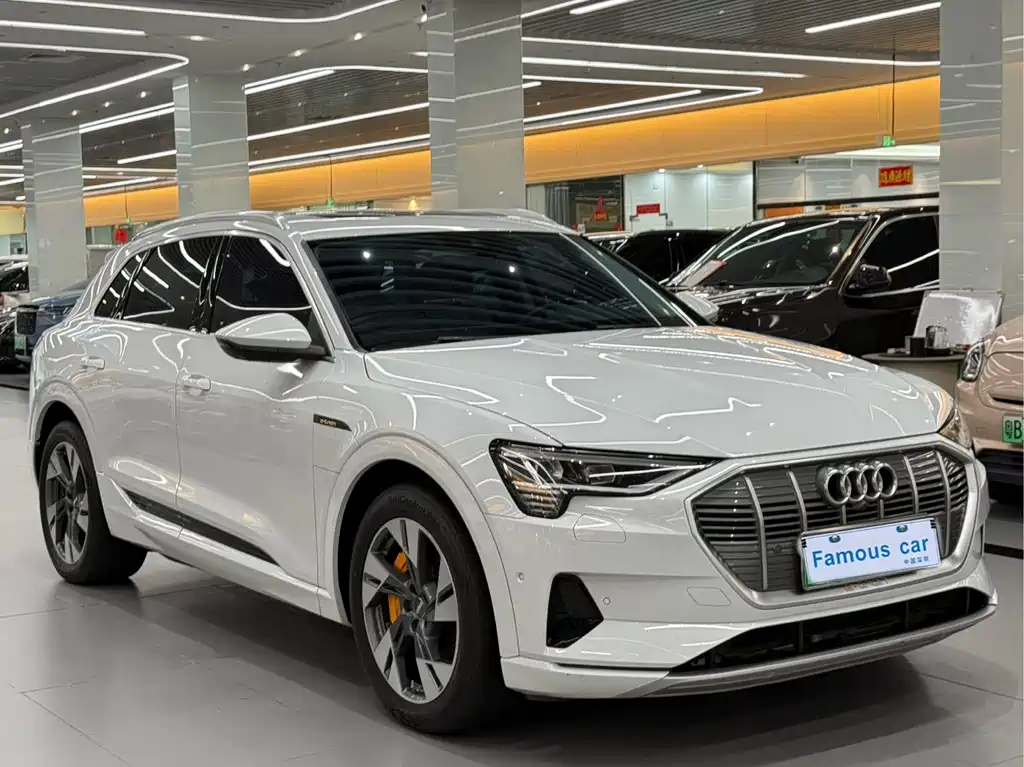 Audi e-tron (Import) — миниатюра 3