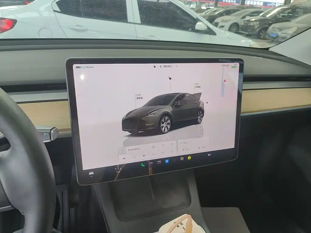Tesla Model Y — миниатюра 13