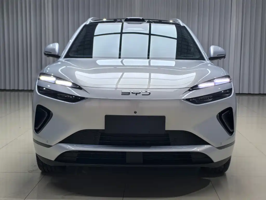 BYD Haisi 06 — миниатюра 2