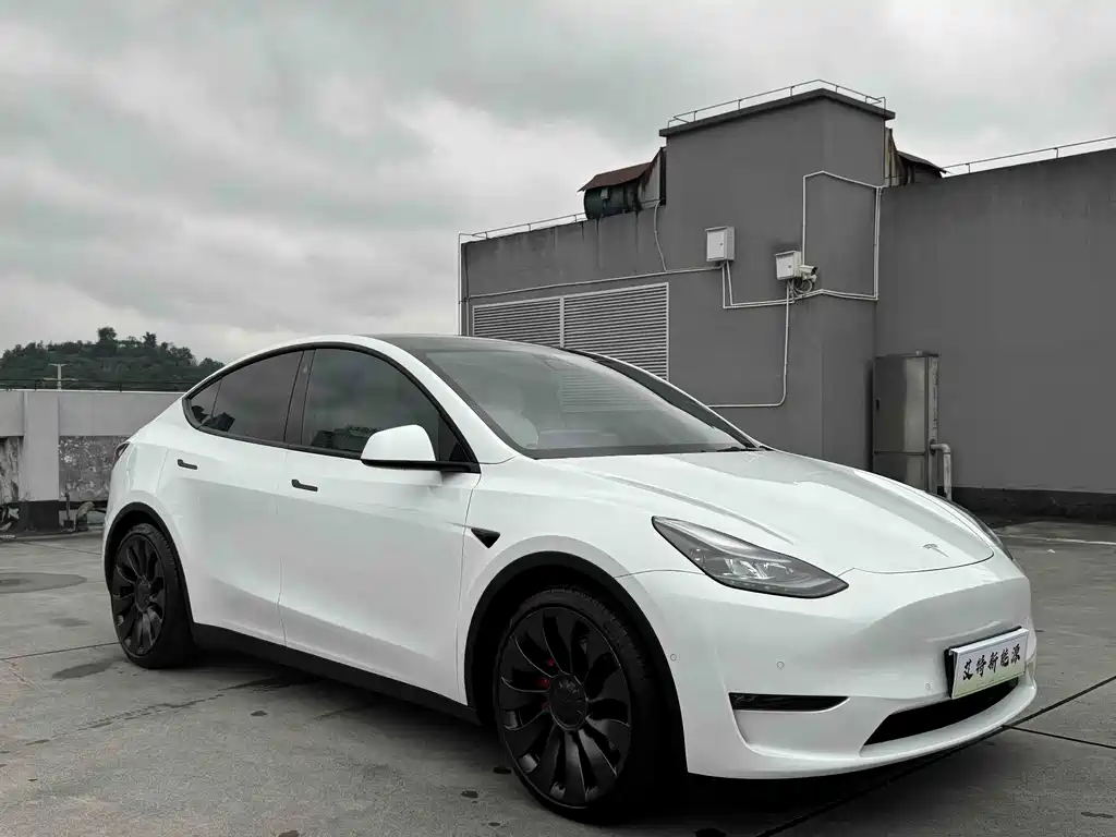 Tesla Model Y — миниатюра 3